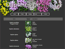 Tablet Screenshot of daphnes.be